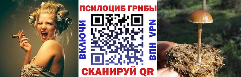 где купить наркотик  Лангепас  Галлюциногенные грибы прущие грибы 