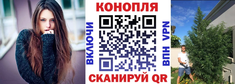 Бошки Шишки гибрид  Лангепас 
